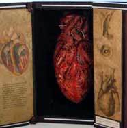 Bleeding Heart Display