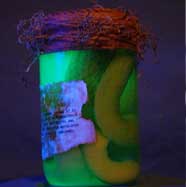 Specimen Jar - Glow Snake