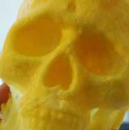 Great Stuff Skull