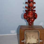 Spine Picture Frame