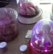 Display Stands W/Lights